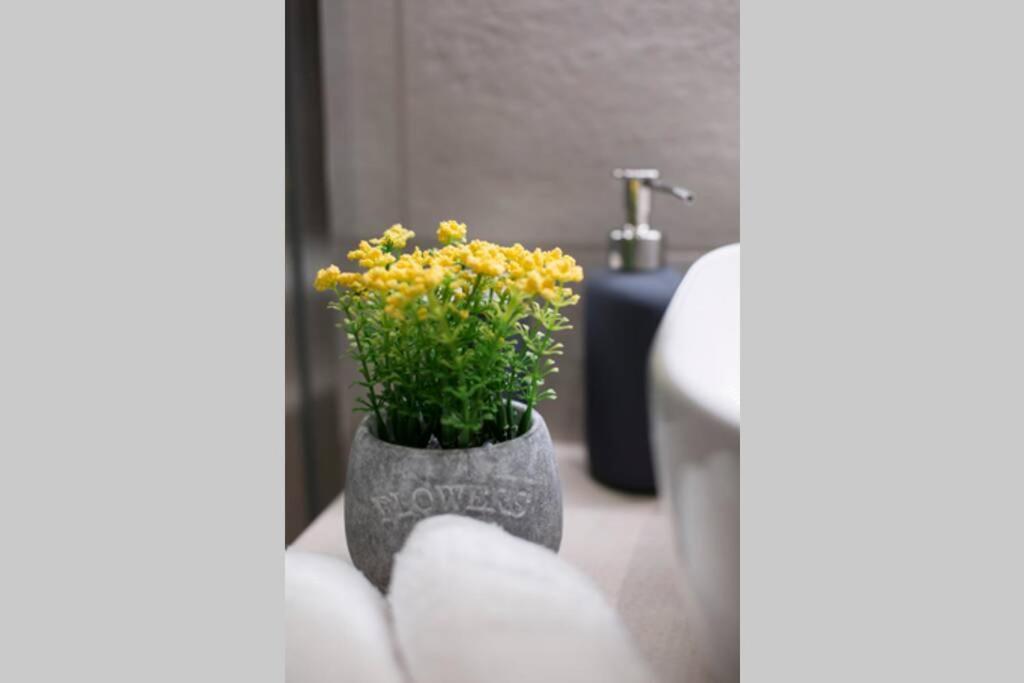 City Center Modern Renovated Apartment Athena Bagian luar foto